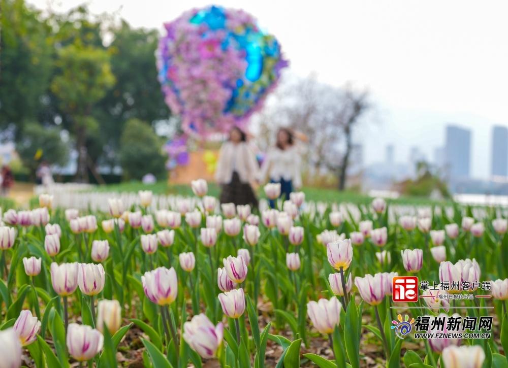 2月8日乌龙江第六届郁金香花展暨迎春游园会将开幕(图1)