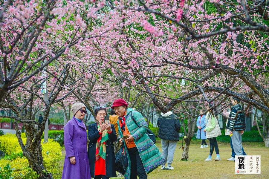 福州西湖公园安装秋千椅，感受流传千年的秋千魅力(图3)