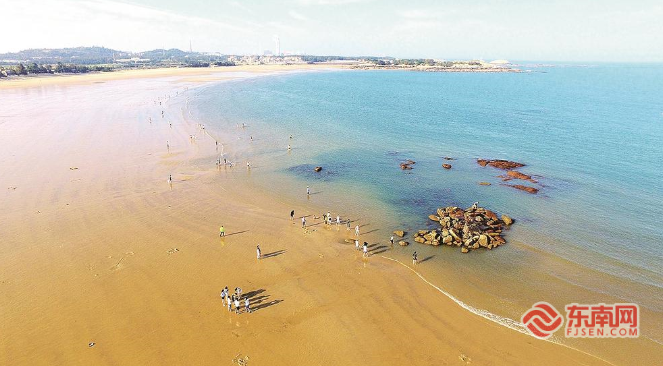 石狮永宁镇：产业兴城促融合，全域共富绘新图(图2)