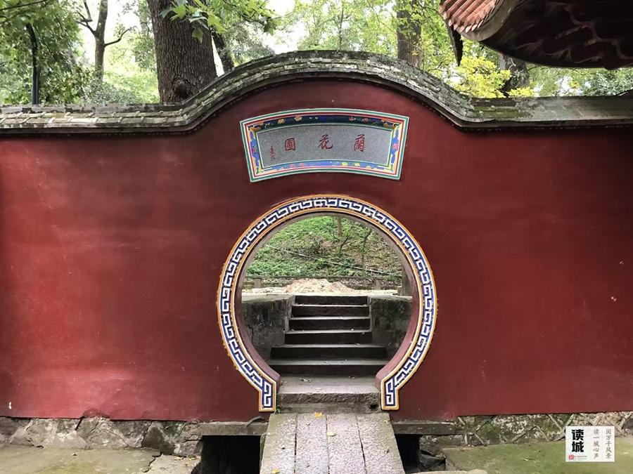 福州春节兰花展将至，带你追忆兰花历史与朱紫坊泰斗陈心启(图2)