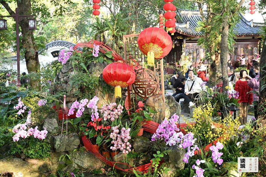 福州春节兰花展将至，带你追忆兰花历史与朱紫坊泰斗陈心启(图5)