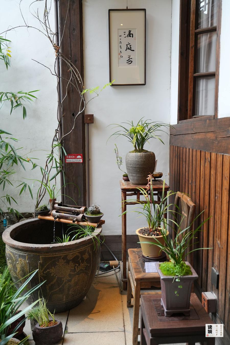 福州春节兰花展将至，带你追忆兰花历史与朱紫坊泰斗陈心启(图6)