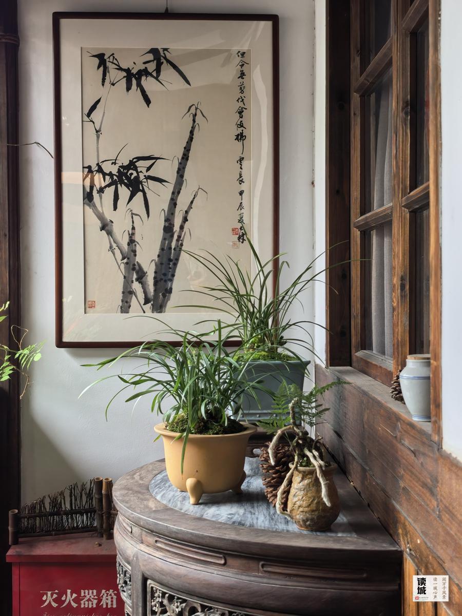 福州春节兰花展将至，带你追忆兰花历史与朱紫坊泰斗陈心启(图8)