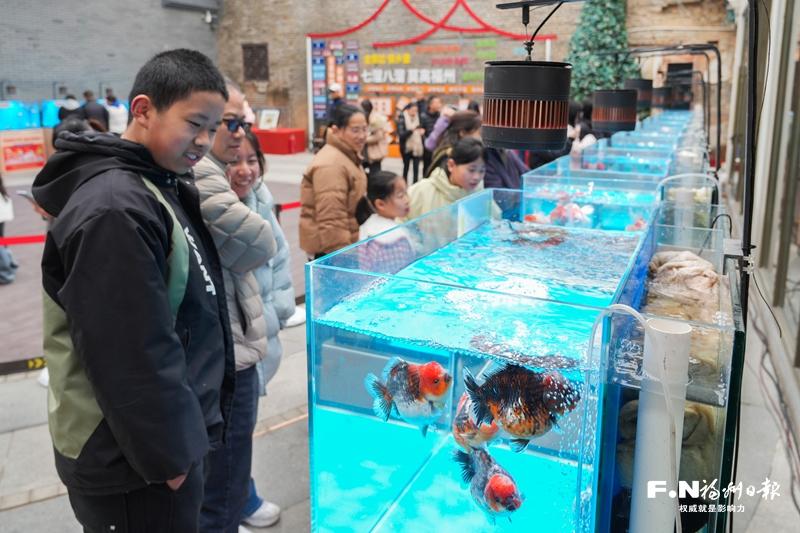 新春第二站！福州金鱼城市移动会客厅在螺洲古镇启动(图1)