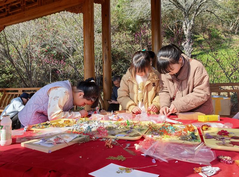 建宁梅花垇亲子赏花活动启幕，多重魅力嗨玩春日(图2)