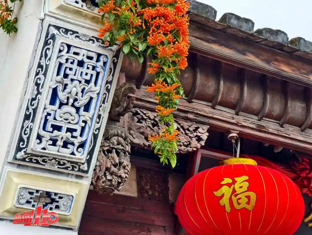 福州新春赏花指南！小年到，炮仗花、梅花花期地点全知道(图5)