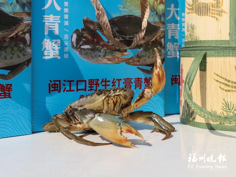 连江下屿村：红色老区、美食乡村与千年渔村奏响发展三重奏(图4)