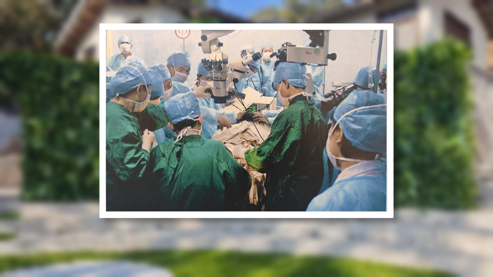 福州熊猫世界：49年大熊猫保护历程，承载城市温暖记忆(图4)