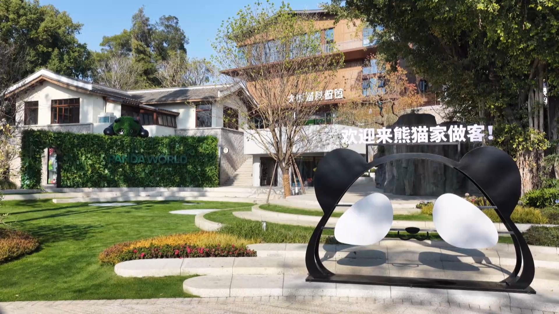 福州熊猫世界：49年大熊猫保护历程，承载城市温暖记忆(图5)